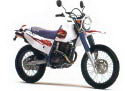 Yamaha TT-R 250 Raid